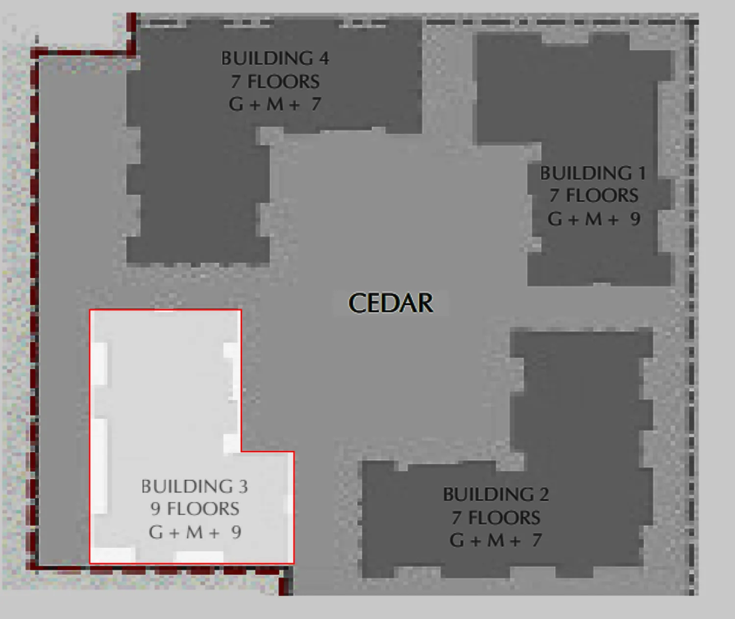 Cedar - Image 12