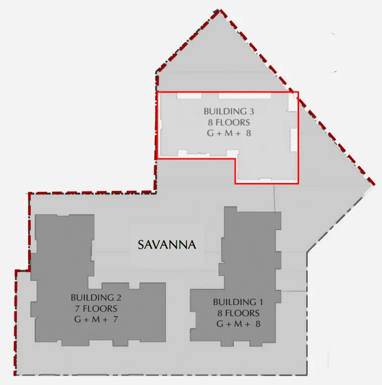 Savanna - Image 16